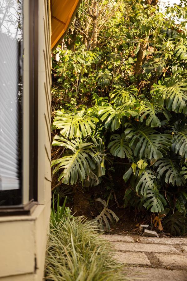 Gamaí Monteverde Exterior foto